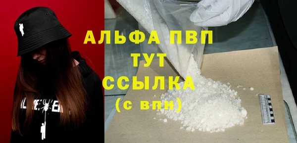 прущие грибы Зерноград