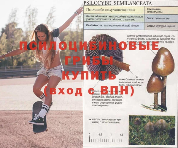 mdma Инсар